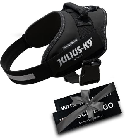 JULIUS K-9 IDC Powergeschirre Anthrazitgrau mit individuelle Klettaufschriften Bundle optionale Größe, Kleine, mittelgroße, und große Hunde, 16IDC+CUSTOMP-ANT