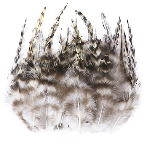 Uposao 100 Stück Fasan Federn, 8-13cm Natürliche Hühnerfeder Türkei Feder zum Basteln Dekorationen für Kostüm,Taschen,Ohrringe Dekoration,DIY Dream Catcher,Hochzeitsfest Home Party Dekoration,Braun