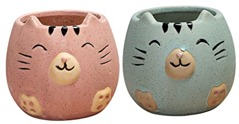 UKCOCO 2 Piezas Macetas Decorativas de Plantas de Colores y Interiores y Exteriores Suculentas y Pequeñas
