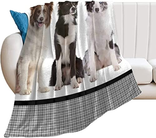 3D Kuscheldecke 220x240 Hund Warme Decke Tier Flanell Fleecedecke Graues Plaid Flauschig Weich Wohndecke für Sofadecke Couchdecke Sofaüberwurf Bettüberwurf