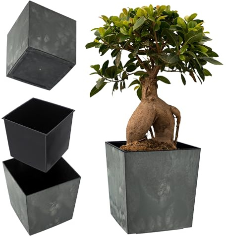 KADAX Vaso fiori plastica resistente | vaso giardino balcone terrazzo | con inserto drenaggio | stabile facile manutenzione