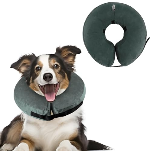 XIMEY Isabelino hundhalsband, sällsynt halsband liten hund, uppblåsbart isabelinskt halsband, uppblåsbart halsband för postoperativt huvud, bröstkorg, bukskydd (grå, L)