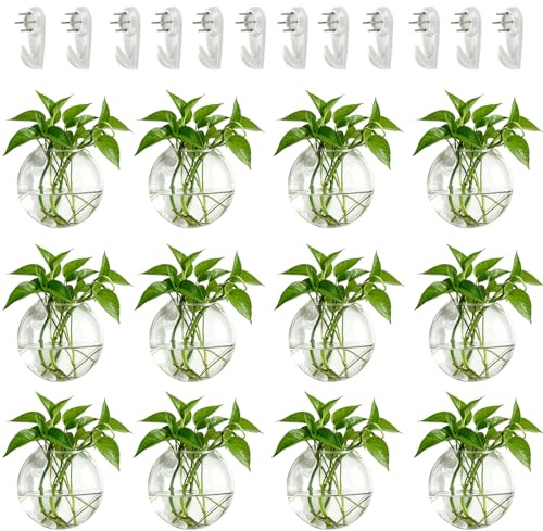 NUPTIO Wandvase für Pflanzen Innen Glas: 10 cm Blumen Wandbehang Glasvase für Wohnzimmer Wand Deko - Wasser Hängetöpfe Vasen Luft Blumenvase Terrarien für Raum Dekoration 12er-Set