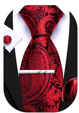 Barry.Wang Herren Seiden-Paisley-Krawatten mit Taschentuch Manschettenknopf Krawattenset Feierliche Hochzeit 3PCS