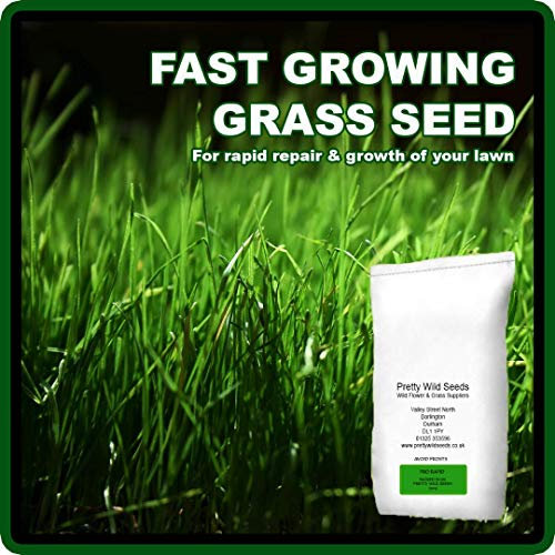 5Kg Rapid Seed Premium Quality Grass Seed Hard Wearing Lawn 5kg