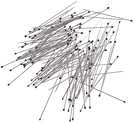 GARVALON Lot De 200 Aiguilles à Spécimens En Acier Inoxydable Kit D’épingles D’entomologie 2 Flacons Organisateurs Pour Collection D’insectes Et Travaux De Précision