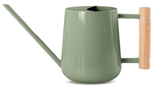 Niboow 1L Gießkanne Zimmerpflanzen, (1000 ml) 35 Oz Metall Edelstahl Klein Giesskanne mit Langem Auslauf und komfortablem Holzgriff für Innen und Außenbereich Pflanze Bonsai Garten Blume - Grün