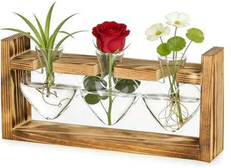 Glaspropagation station för växter, växtterrarium med trästativ, förvaring växter glas, för hem kontor hylla fönsterbräda bordsdekoration, för kvinnor män födelsedagspresent (hjärtformad formad)