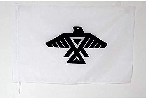 AZ FLAG Flagga Anishinaabe-folket 90x60 cm 100D Polyester Stångficka