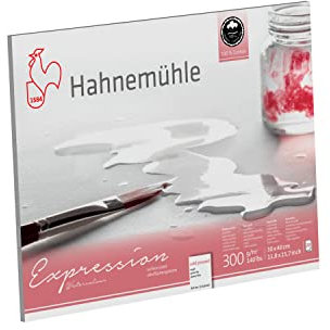 Hahnemühle Expression, mattes Aquarellpapier, 300 g/m², 30x40 cm, 100% Baumwolle