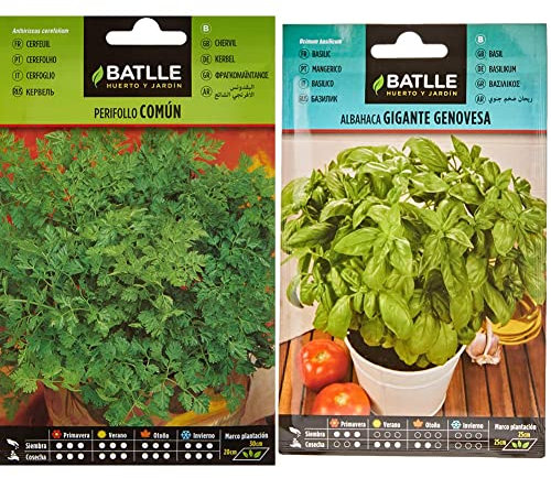 Perifollo Común, semillas para plantar & Albahaca GIGANTE Genovesa, Color Verde