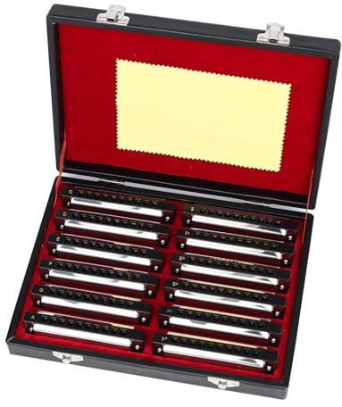 Swan Mundharmonika 10 Loch Blues Mundharmonika Set 7/12 Ton Set Anzug Geschenkbox Mundharmonika Mundharmonika für Anfänger Adluts (12 Ton Set)