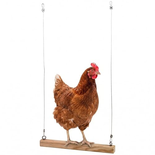 Agrarzone Hühnerschaukel hängend Hühner Geflügel Spielzeug Nutztiere | Sitzstange 41cm, robustes Holz, Stall, Auslauf, Hühnerspielzeug