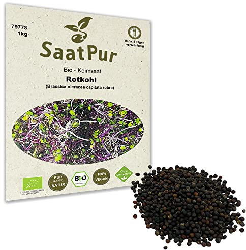 1Kg BIO Keimsprossen Rotkohl Keimsaat für die Sprossenanzucht Sprossen Microgreen Mikrogrün