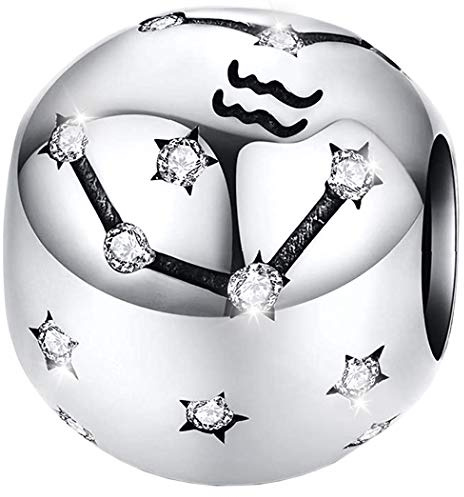 Maria Fonte Bead Charm Segno Zodiacale Acquario in Argento Sterling 925, Compatibile con Le più Diffuse Marche di Braccialetti e collane.