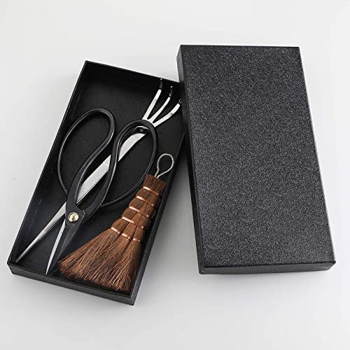 Wazakura Kit 3 Outils de Jardinage Bonsaïs Fabriqués au Japon, Ciseaux Traditionnels en Acier Carbon, avec Pince en Acier Inoxydable et Petit Balai, Set pour Débutant