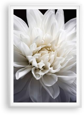 Poster da Parete Póster Marco Blanco 70x100cm Flor Dalia Naturaleza Moderno Cuadros Decorativo Cuadros Pared Imágenes Decoracion Salon Dormitorio Cocina Wall Art Prints Decor - P2WPA70x100-5229