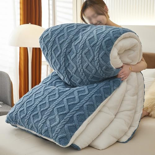 Duvet, Winter Quilt Warm Thickened Lambswool Quilt, Winter Warmth Quilt Blanket Double Sided Fluffy Lamb Fleece Quilt for Cold Weather (A,150 * 200cm/3kg)