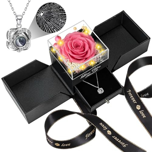 Lebana Ewige Rose mit Herz Halskette und LED Beleuchtung Geschenkset für Frauen Mama Freundin zu Geburtstag Weihnachten Valentinstag Hochzeitstag, Muttertag-rosa