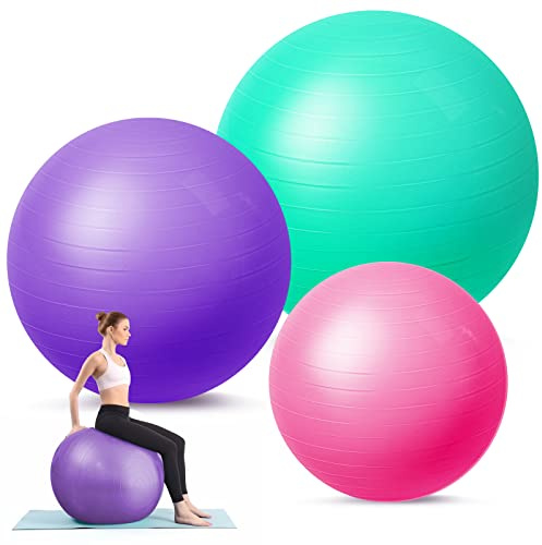 Honoson 3 Pcs Exercise Yoga Ball Large Pregnancy Fitness Ball Chair Multiple Sizes for Office Home Labor Gym Birth Balance, 55/65/75cm