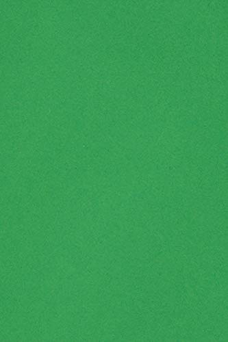 Netuno 20 Blatt Tonkarton Grün DIN A4 21 x 29,7 cm 250g Burano Verde Bandiera edler Farbkarton für Verpackungen Karten Einladungen Papierboxen Schachteln Dekorkarton Bastelkarton farbig