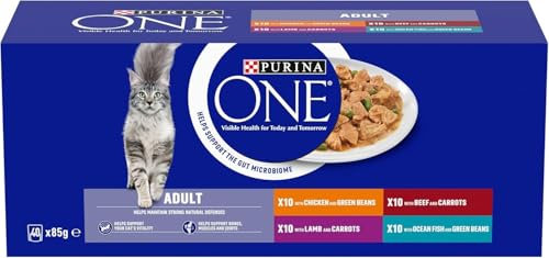 PURINA ONE Adult Cat Food Mini Fillets in Gravy 40 x 85g