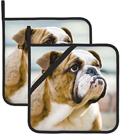 Lustige englische Bulldogge Topflappen, hitzebeständig, rutschfest, mit Taschen, für Küche, Kochen, Backen, Grillen, 2 Stück