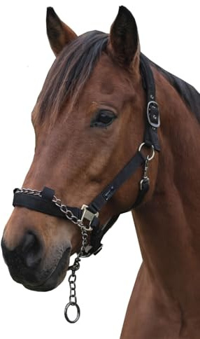 NETPROSHOP Control Halfter aus Gurtband mit Integrierter Führkette und Neopren Polsterung Gr. Pony bis XFull, Groesse:Cob