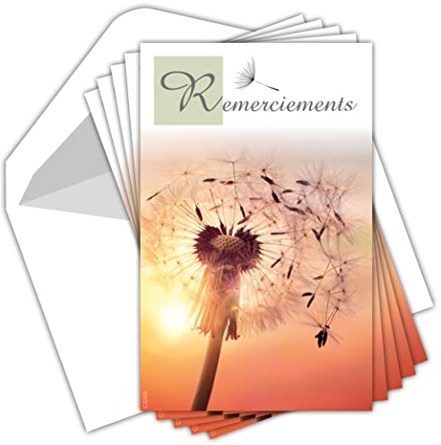 C5269 Remerciements Condoléances - Lot de 5 Cartes Identiques et Enveloppes Blanches - Format 9x14 cm - Décès Obsèques Deuil Fleur et Coucher de Soleil - Fabriquées en France