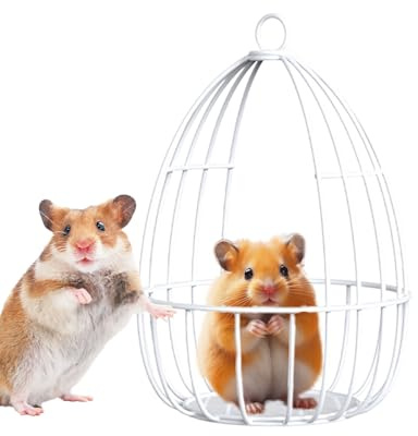 Zhadyu Hamster Hammock,Iron Wire Mesh Hamster Toys - Nest Sleeping House Hiding Pet Supplies for Dwarf Rabbits Small Animals Sugar Glider Squirrel Guinea