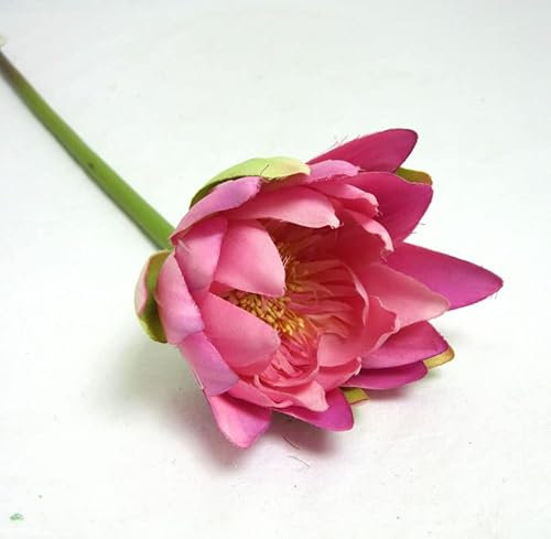 Künstliche Seerose mit Stiel klein, rosa-grün ca. 63 cm