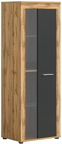 xonox.home - Vitrine Jam 60x159x35 cm in Wotan Eiche und grau - Vitrine Glasvitrine Dekoschrank Glas-Kommode Stauraumschrank - zeitloses Design