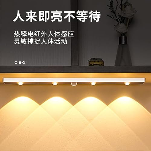 Fafeicy Lampada a Induzione a LED per il Corpo Umano con Sensore di Movimento, Illuminazione Intelligente per Camera da Letto, Soggiorno, Corridoio, Raggio di Rilevamento di 120 Gradi (60 cm)