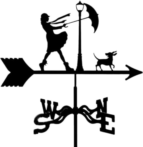 Wetterfahne aus Metall für Dach, Garten, Terrasse, Dekoration, Zubehör, Edelstahlfigur, Außenmessung, Windgeschwindigkeitsrichtung, exquisit, langlebig und praktisch
