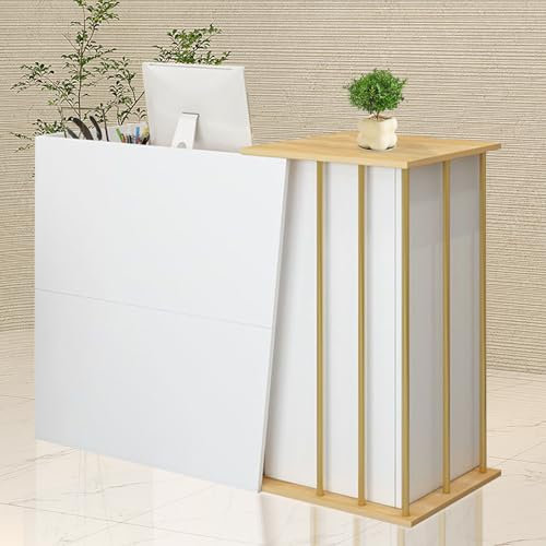 GAOXIAO Empfangstheke Empfangstresen mit Schreibtisch Rezeptionstheken Laden-Theke Verkaufstheke Verkaufstisch, Kassentheke Bürotheke Reception Tisch mit 2 Schubladen und 1 Schrank B 120 cm
