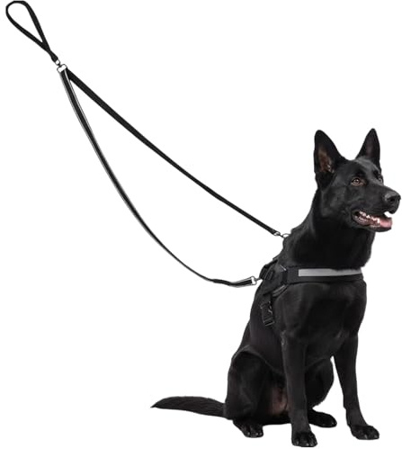 Double Ended Lead for Dogs, Dog Leads, 1.8m Training Lead For Dogs With Comfortable Handles, Secure Training And Walking Accessory For Medium To Large Breed Dog