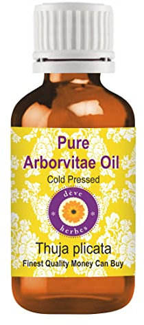 Deve Herbes Pure Arborvitae Oil (Thuja plicata) Non-Sticky | Non-Greasy | Warm Woody Aroma | For Aromatherapy, Meditation, Massage & Blends 5ml