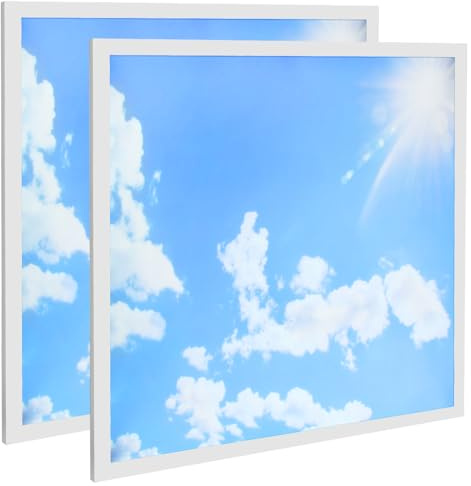 Long Life Lamp Company 2 x 40w Blue Sky LED Ceiling Panel 600 x 600 Sun Cloud Scene Recessed Office Light with Transformer