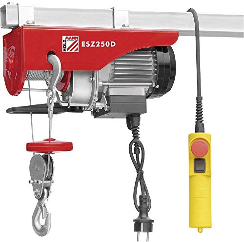 HOLZMAN ESZ250D_230V