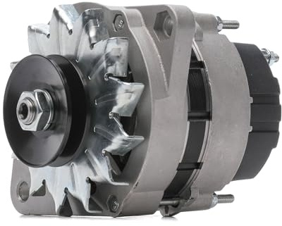 RIDEX 4G1031 Lichtmaschine 55A Generator LiMa 14V Alternator mit Riemenscheibe Kompatibel mit FIAT DUCATO Kasten 290 46231760 46446292 7552284