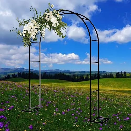 Arche Jardin en Métal avec Base, Arche À Rosiers Résistante Aux Intempéries, Tonnelle de Pergola Tubulaire Solide Extérieure, pour Extérieur, Cour, Jardin, Plantes Grimpantes ( Color : Nero , Size : 2
