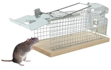 LYMFE trampas para Ratas, Cazador de Ratones Trampa for Ratones autoblocante for ratón doméstico, Trampa for Ratones de Madera Reutilizable Firme y Segura for Interiores y Exteriores
