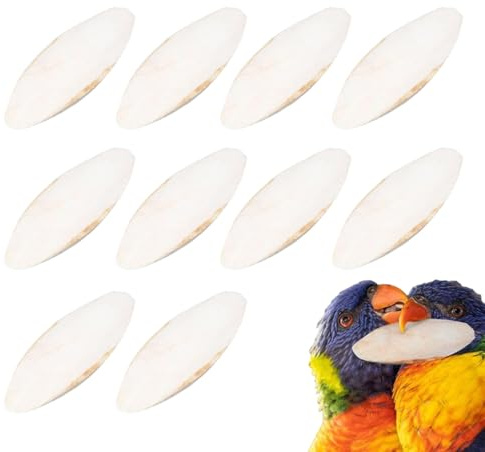 Generisch 10 Stück Sepiaschalen für Vögel, 9-12 cm Sepiaschalen Vogel Kauspielzeug, Natürliche Tintenfischknochen für Vögels, Sepia Schalen für Schildkröten, Papageiens, Vögels, Hamster, Schnecken