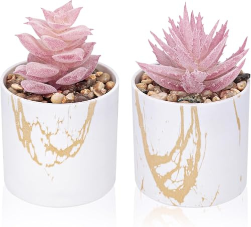 BTSD-home Set of 2 Succulents Plants Artificial Mini Fake Succulents Plants for Office Desk Accessories for Women Pink Home Decor