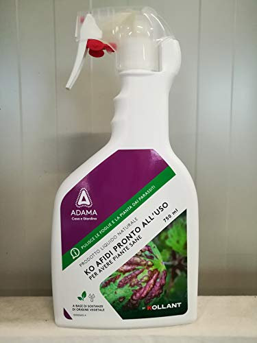 Kollant Sapone Molle Liquido Pronto Uso ko afidi e Insetti Vari 750 ml