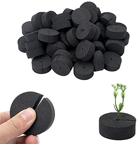 AVE Hydroponik Schwämme Garden Clone Collars Neopren-Einsätze Schwamm Block passend Grow Hydroponic Plant Disk Aeroponic Hydroponics-Systeme Und Klonmaschinen (60PCS)