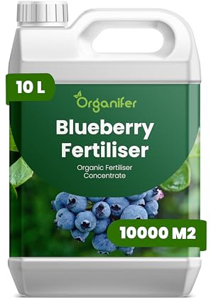 Fertilizante líquido para arándanos 10L – Fertilizante orgánico para arbustos sanos y frutos abundantes – Favorece raíces y vitalidad – Organifer