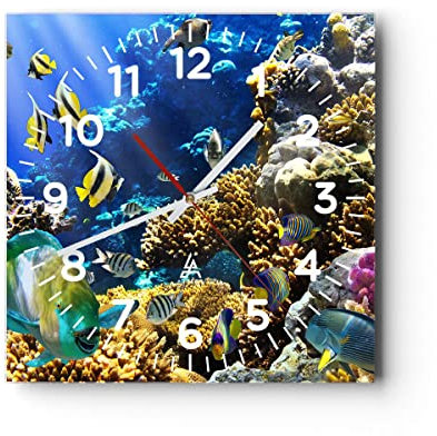 Modern Wanduhr Korallenriff Ozean Krabbe Fisch 40x40cm Quadrat Groß Wand Uhr Glas Analog Zimmeruhren Küche Büro Wohnzimmer Glasuhr Wall Clock Dekoration Design Wanddekoration Küchenuhr C4AC40x40-2662