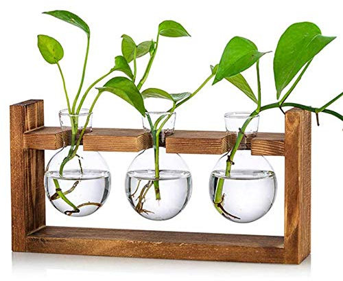 Kingbuy Glass Plant Terrarium with Retro Wood Stand – 3 Bulbs Propagation Station, Indoor Garden Planter & Bulb Vase, Desktop Decor for Home Kitchen Wedding, Gift for Women and Plant Lovers