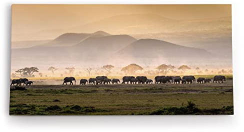 Paul Sinus Wandbild 120x60cm Elefantenherde Elefanten Afrika Tierfotografie Landschaft
